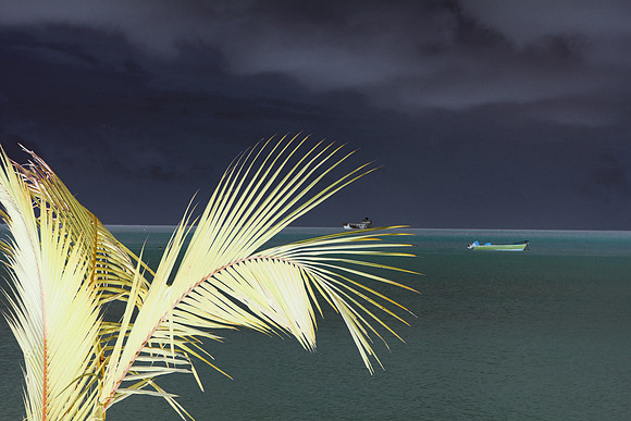 Paradise in The Seychelles 4