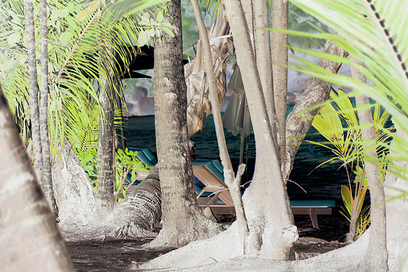Paradise in The Seychelles 5